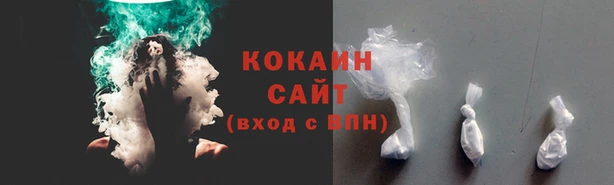 бошки Аркадак